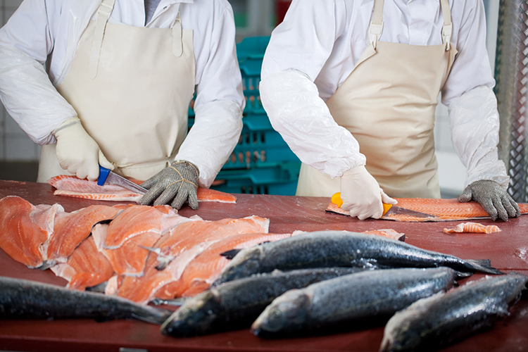 Prefeitura de Itambé e SEAGRI estarão realizando Curso de Beneficiamento do Pescado
