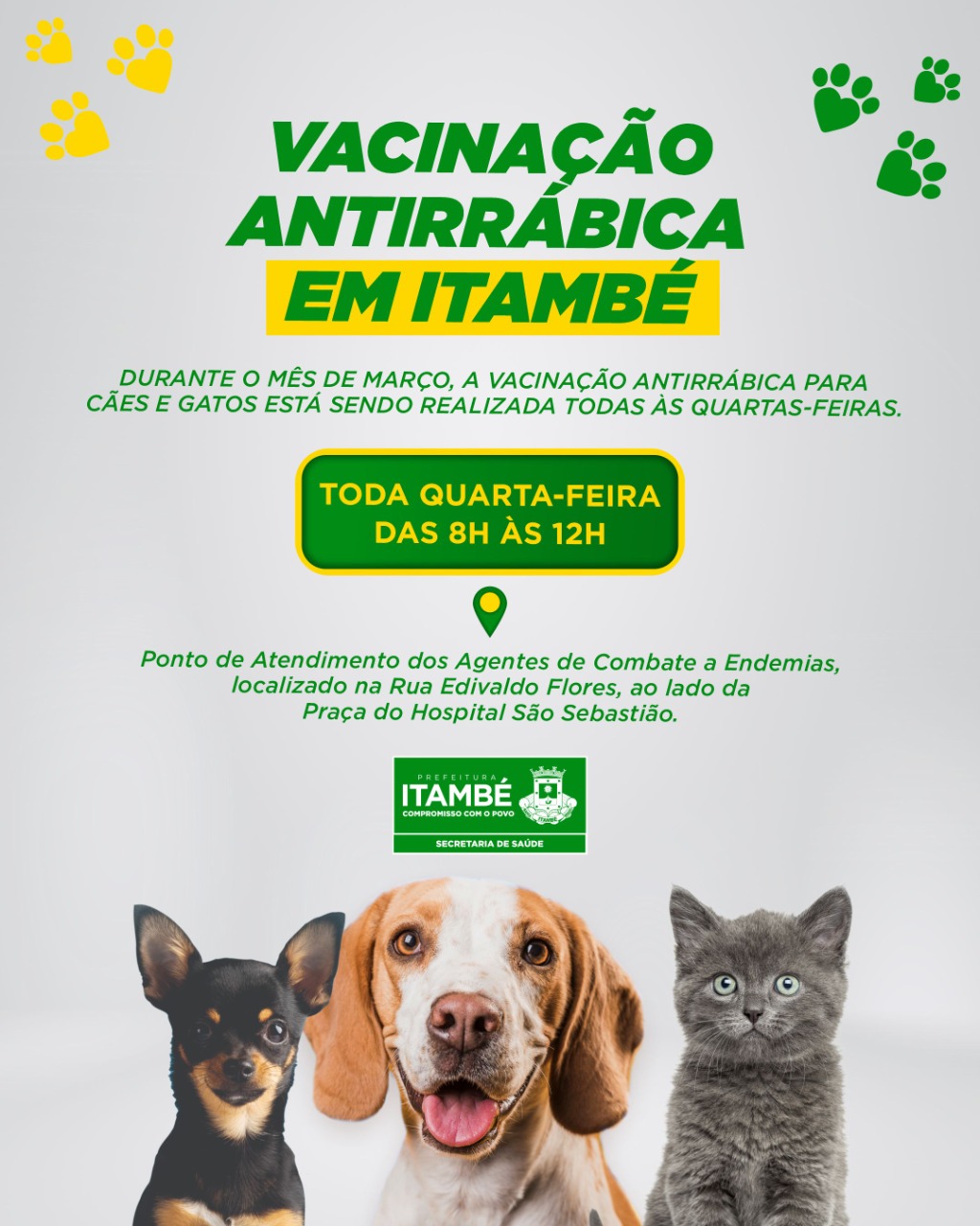 No mês de março, vacinação antirrábica acontece todas às quartas no Posto de Atendimento de Endemias